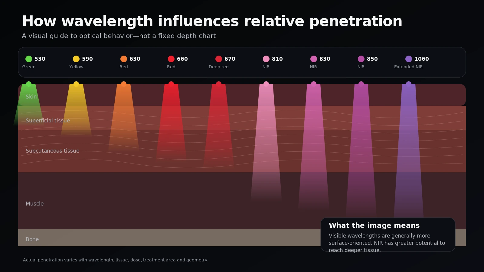Infographic explaining how visible and near-infrared wavelength ranges differ in their relative surface and deeper-tissue emphasis.